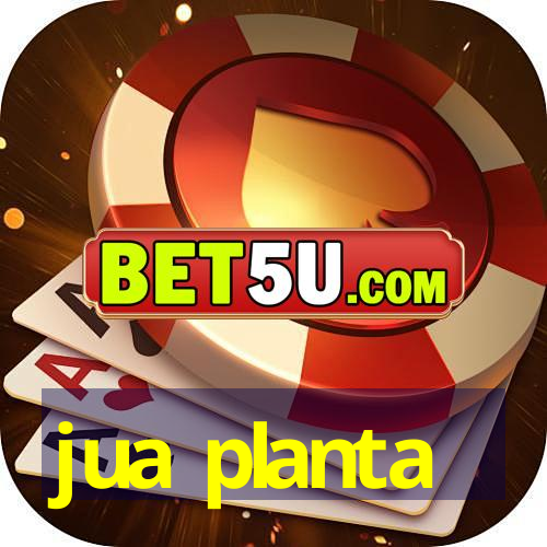 jua planta